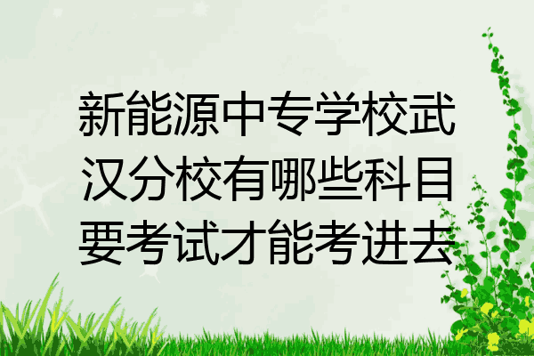 新能源中专学校武汉分校有哪些科目要考试才能考进去