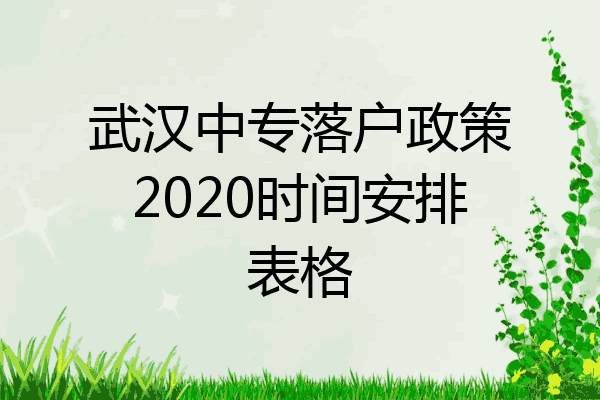 武汉中专落户政策2020时间安排表格