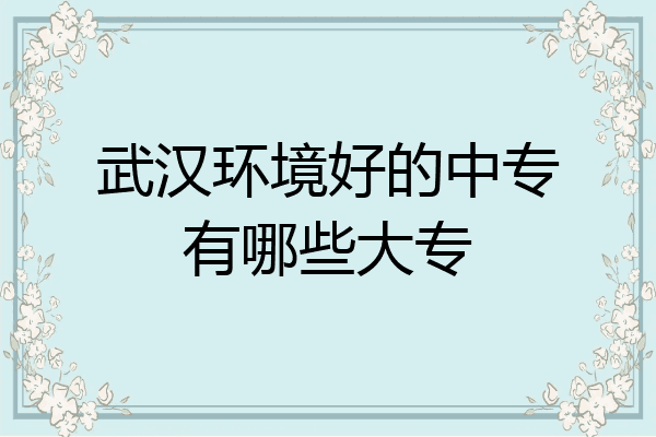 武汉环境好的中专有哪些大专