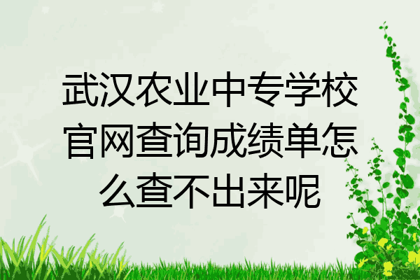 武汉农业中专学校官网查询成绩单怎么查不出来呢
