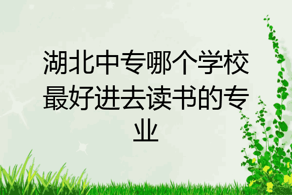 湖北中专哪个学校最好进去读书的专业