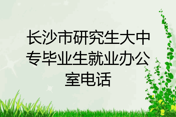 长沙市研究生大中专毕业生就业办公室电话