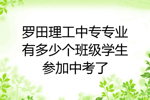 罗田理工中专专业有多少个班级学生参加中考了