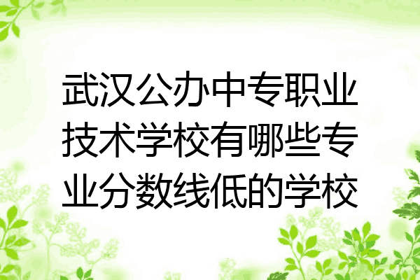 武汉公办中专职业技术学校有哪些专业分数线低的学校