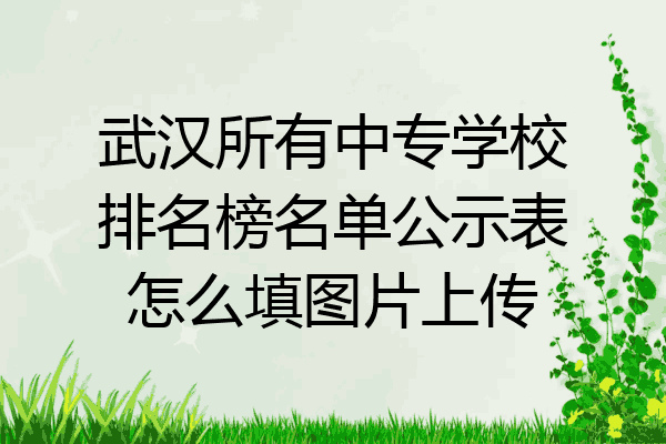 武汉所有中专学校排名榜名单公示表怎么填图片上传