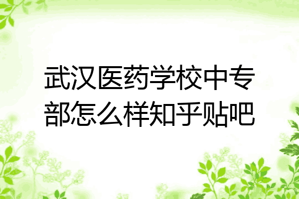 武汉医药学校中专部怎么样知乎贴吧