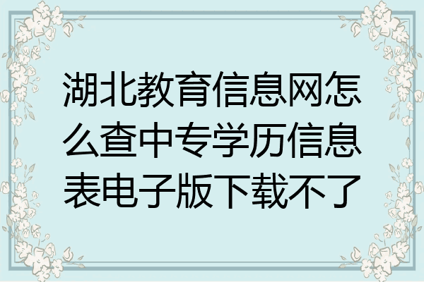 湖北教育信息网怎么查中专学历信息表电子版下载不了