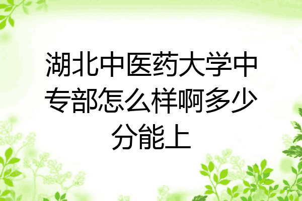湖北中医药大学中专部怎么样啊多少分能上