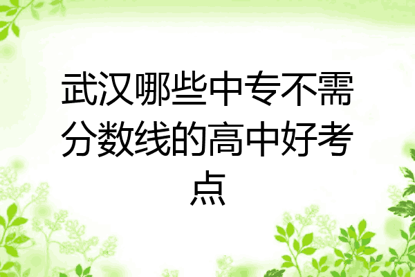 武汉哪些中专不需分数线的高中好考点