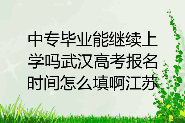 中专毕业能继续上学吗武汉高考报名时间怎么填啊江苏