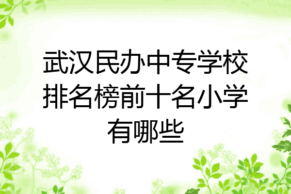武汉民办中专学校排名榜前十名小学有哪些