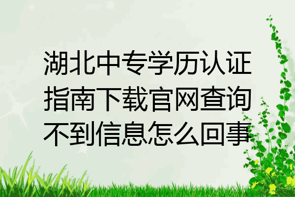 湖北中专学历认证指南下载官网查询不到信息怎么回事