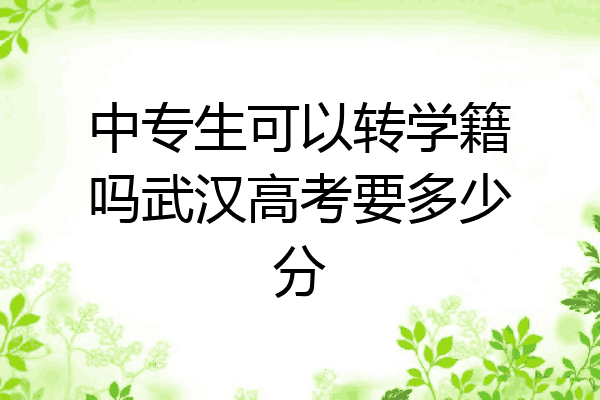 中专生可以转学籍吗武汉高考要多少分