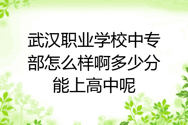 武汉职业学校中专部怎么样啊多少分能上高中呢