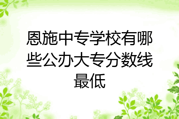 恩施中专学校有哪些公办大专分数线最低
