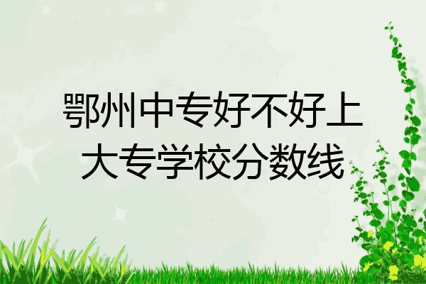 鄂州中专好不好上大专学校分数线