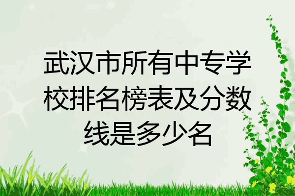 武汉市所有中专学校排名榜表及分数线是多少名