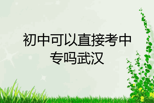 初中可以直接考中专吗武汉