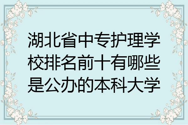 湖北省中专护理学校排名前十有哪些是公办的本科大学