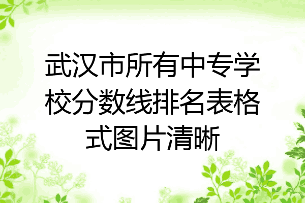 武汉市所有中专学校分数线排名表格式图片清晰