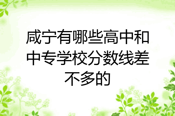 咸宁有哪些高中和中专学校分数线差不多的