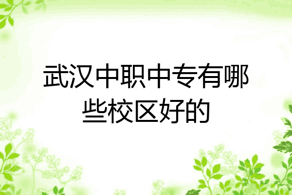 武汉中职中专有哪些校区好的