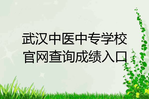 武汉中医中专学校官网查询成绩入口
