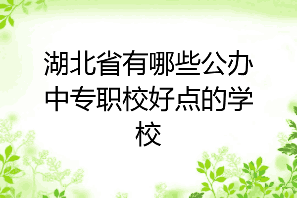 湖北省有哪些公办中专职校好点的学校