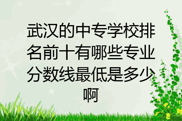 武汉的中专学校排名前十有哪些专业分数线最低是多少啊