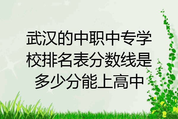 武汉的中职中专学校排名表分数线是多少分能上高中