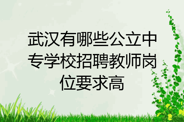 武汉有哪些公立中专学校招聘教师岗位要求高