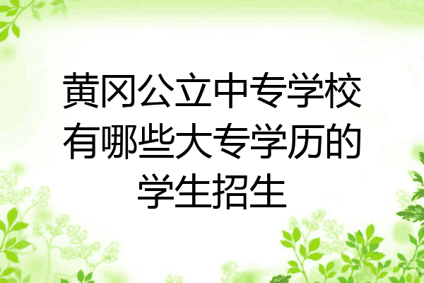 黄冈公立中专学校有哪些大专学历的学生招生