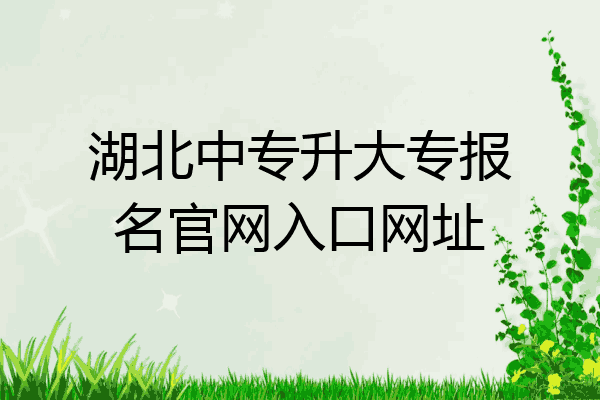湖北中专升大专报名官网入口网址
