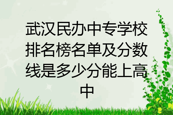 武汉民办中专学校排名榜名单及分数线是多少分能上高中