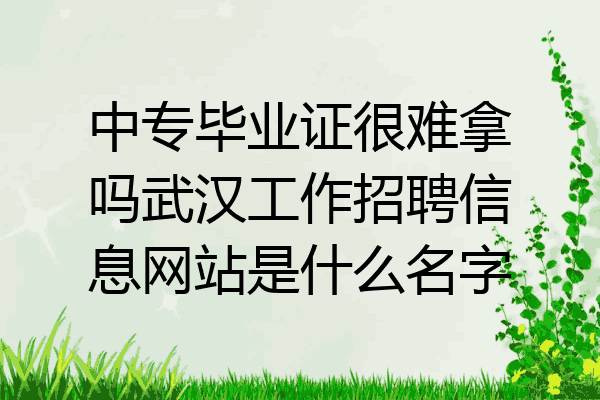 中专毕业证很难拿吗武汉工作招聘信息网站是什么名字