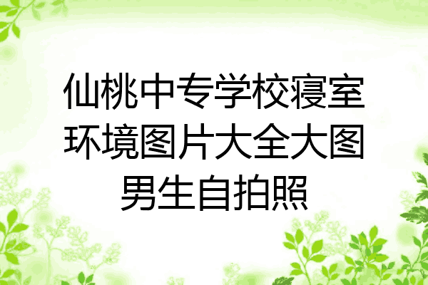 仙桃中专学校寝室环境图片大全大图男生自拍照
