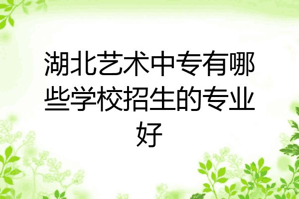 湖北艺术中专有哪些学校招生的专业好