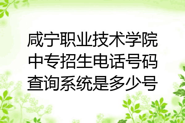 咸宁职业技术学院中专招生电话号码查询系统是多少号