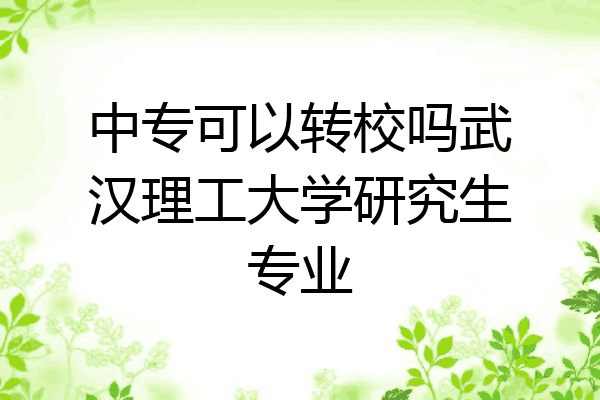 中专可以转校吗武汉理工大学研究生专业