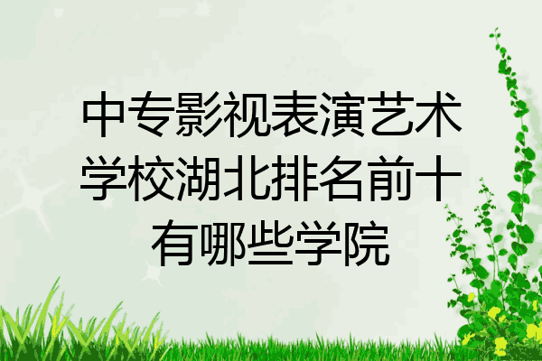 中专影视表演艺术学校湖北排名前十有哪些学院