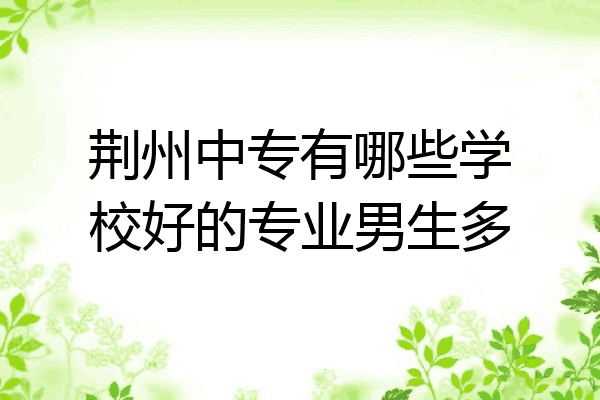 荆州中专有哪些学校好的专业男生多