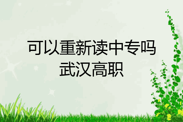 可以重新读中专吗武汉高职