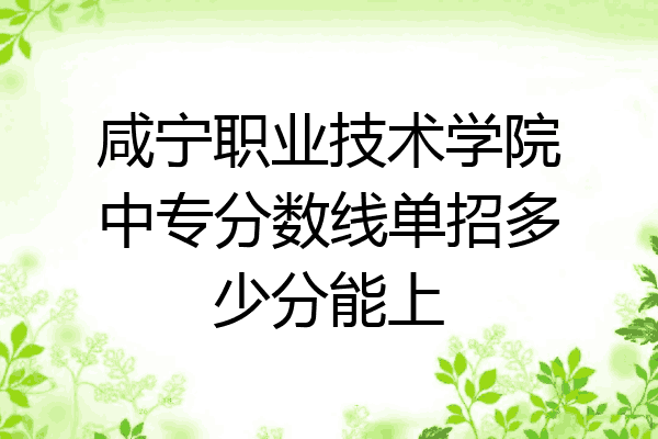 咸宁职业技术学院中专分数线单招多少分能上
