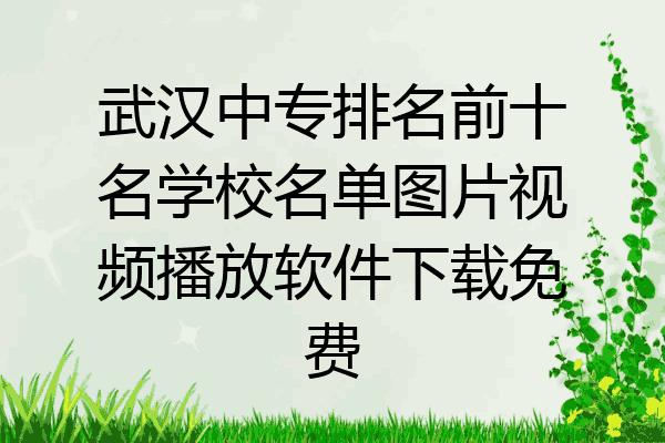 武汉中专排名前十名学校名单图片视频播放软件下载免费