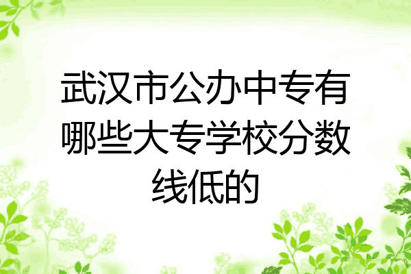 武汉市公办中专有哪些大专学校分数线低的