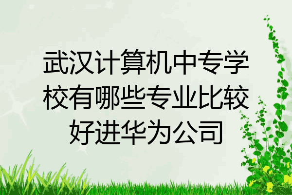 武汉计算机中专学校有哪些专业比较好进华为公司