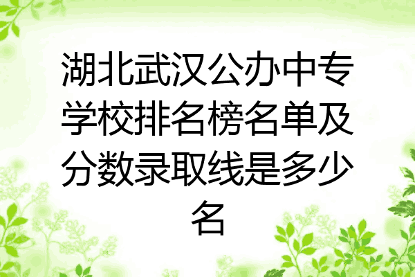 湖北武汉公办中专学校排名榜名单及分数录取线是多少名