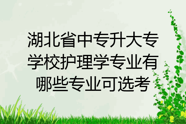 湖北省中专升大专学校护理学专业有哪些专业可选考