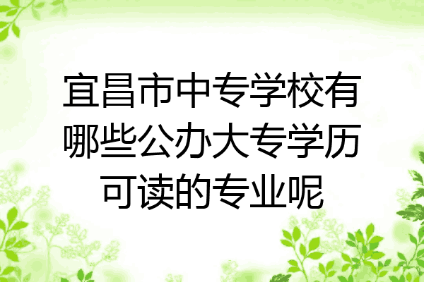 宜昌市中专学校有哪些公办大专学历可读的专业呢