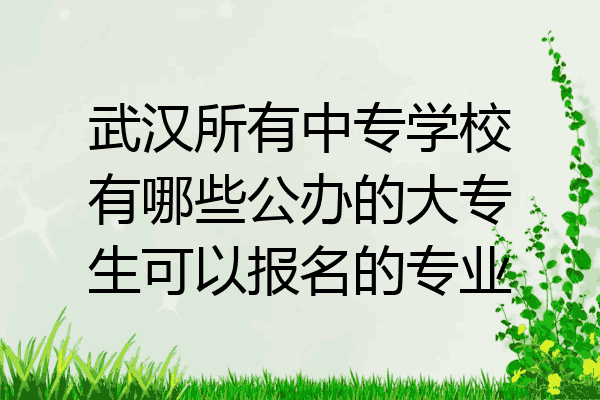 武汉所有中专学校有哪些公办的大专生可以报名的专业